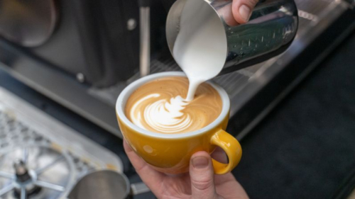 How Baristas Create Perfect Micro-Foam